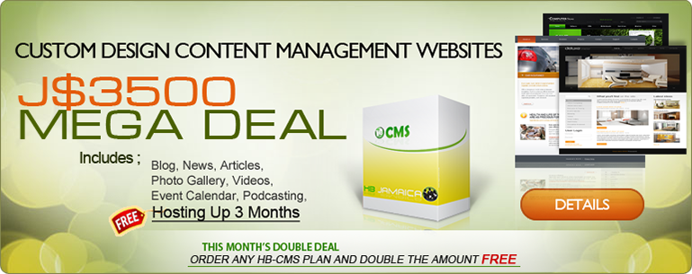 Website Design