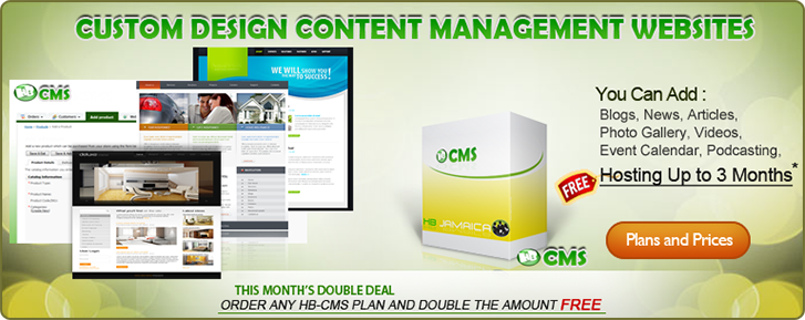 custom WEBSITE DESIGN